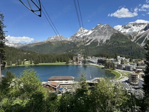 Suche nach einem Lebenspartner