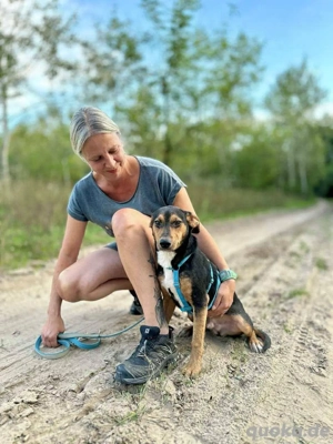     Mio sucht sein für immer Zuhause     Bild 3