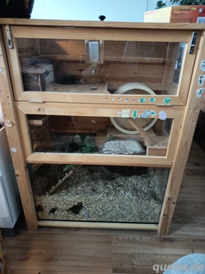 Terrarium   Nagarium