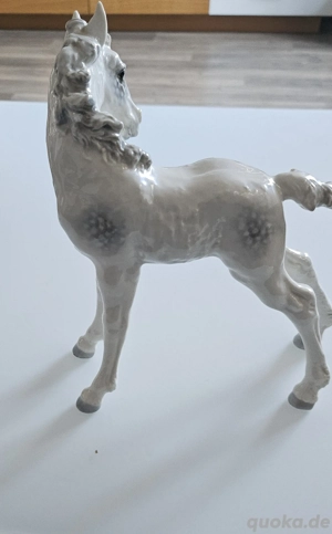 Porzellan Fohlen von Hutschenreuther