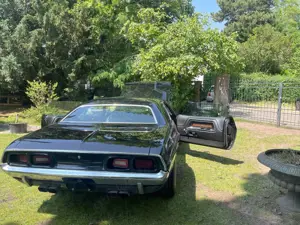 Dodge Challenger Prominenter Vorbesitzer/ Fahrzeug nicht vor Ort Bild 4