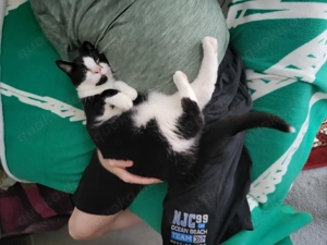 Suchen ein Bauernhaus