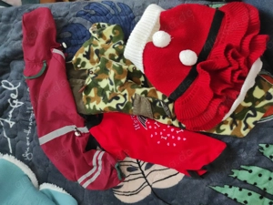 Hundegeschirr, Jacken, manche sind ganz neu und unbenutzt 