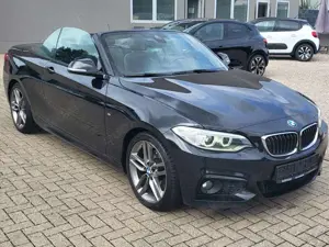 BMW 220 220 d Navi Ganzjahresreifen Keyless Automatik