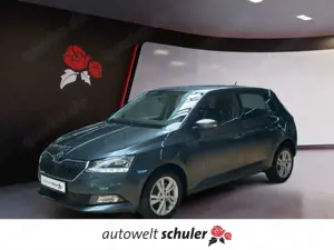 Skoda Fabia 1.0 TSI Ambition SmartLink SHZ Rfk