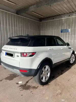 Land Rover Range Rover Evoque Pure Technik 2.2L TD4 Bild 3