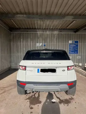 Land Rover Range Rover Evoque Pure Technik 2.2L TD4 Bild 5