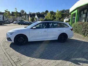 Skoda Octavia Ambition