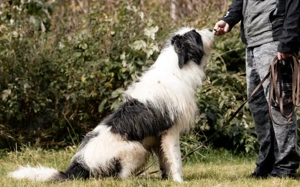 Paul sucht seine Menschen Bild 4