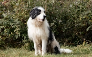 Paul sucht seine Menschen Bild 6