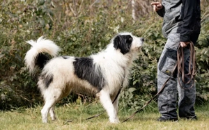 Paul sucht seine Menschen Bild 7