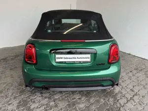 MINI Cooper Cabrio Aut. LED.Sportsz.Apple.Keyl.PDC. Bild 3