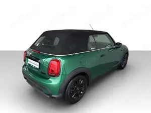 MINI Cooper Cabrio Aut. LED.Sportsz.Apple.Keyl.PDC. Bild 4