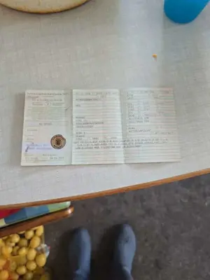 Ford Mondeo 2.0 Turnier TDCi Trend