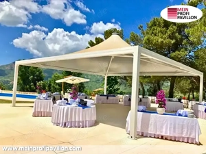 Pavillon 9x9 Überdachung Gazebo Pagodenzelt Festzelt Pvc Dach Restaurant Café Terrassenüberdachung Bild 2
