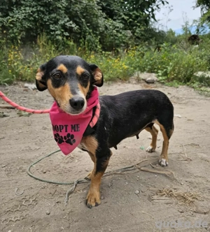 Süße Nina sucht ein Zuhause