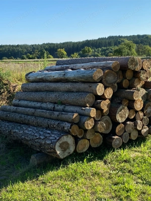 Biete 7 Ster Polter Fichte, Kiefer als Brennholz