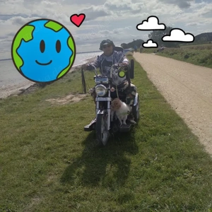 Ich möchte ein Harem Gründen in Niedersachsen 18-28 Jahre alt