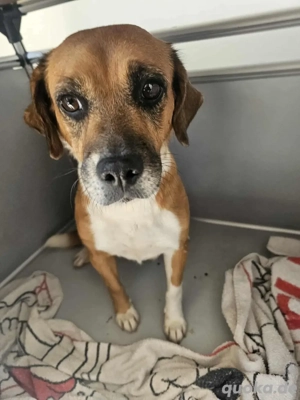 Tita sucht ein Zuhause