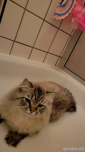 Geschwister suchen ein neues 