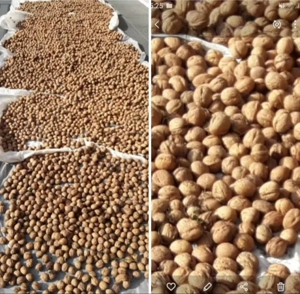 Walnüsse (Bio) je kg