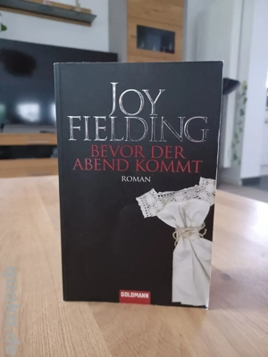 Bevor der Abend kommt Joy Fielding Thriller 