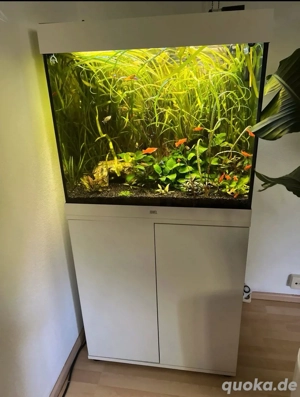 juwel lido 200 aquarium komplett 