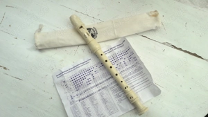 Blockflöte Flötenlilli NEUWERTIG