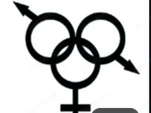 Reifer Bull sucht Paar 