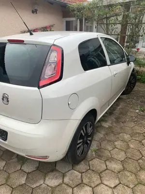 Fiat Punto Punto 1.2 8V Classic