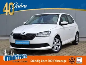 Skoda Fabia 1.0 TSI Ambition INFOTAUNMENT-PAKET/NAVI/SOUND-PA
