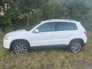 Volkswagen Tiguan Tiguan 2.0 TDI DPF 4Motion Team Bild 2