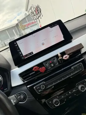 BMW X2 xDrive20i Aut. Advantage Bild 5