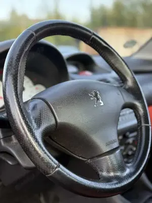 Peugeot 206 206 CC 110 Bild 5