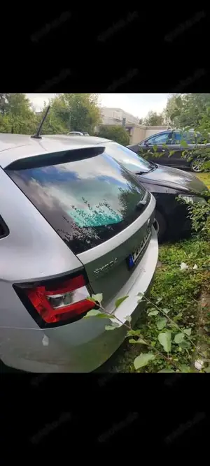 Skoda Fabia 1.4 TDI Edition Bild 3