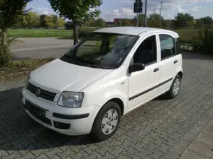 Fiat Panda Panda 1.2 Neu TÜV bis 10/2027