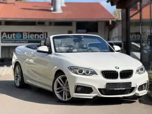BMW 228 Cabrio 228 i M Paket 2. Hand  AHK
