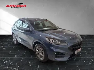Ford Kuga ST-Line leichter Hagelschaden Sportpaket Navi Bild 5