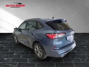 Ford Kuga ST-Line leichter Hagelschaden Sportpaket Navi Bild 3