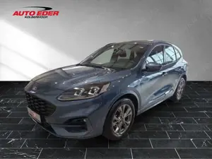Ford Kuga ST-Line leichter Hagelschaden Sportpaket Navi Bild 2