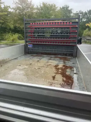 Citroen Jumper 35 L2 Bild 5