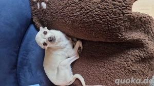 Ich suche meine Familie