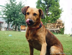 *YON* ist immer noch sehr misstrauisch und zeigt den Menschen gegenüber ein vorsichtiges Verhalten 