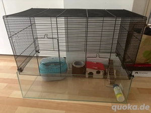 Hamster,käfig (150  damals) 
