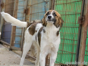 Süßer WILHELM will die Welt entdecken