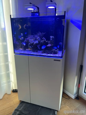 Meerwasser Aquarium Aqua Medic Armatus 250 