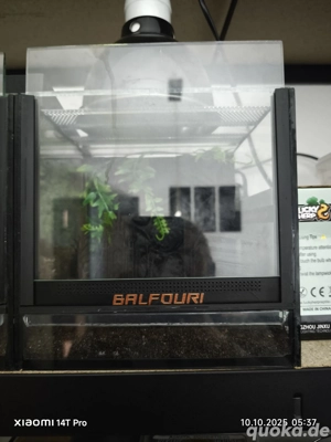 Lüftungsschienen Terrarium 