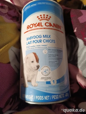 Welpenmilch Ersatz 