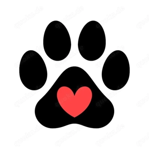  Suche Hündin,Schäferhündin oder Mix