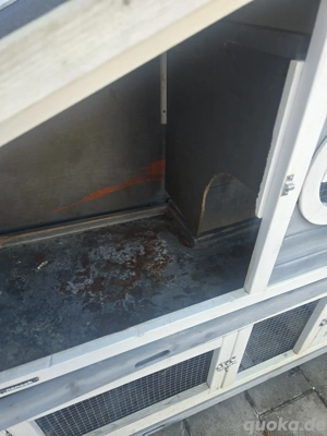 Kaninchen Stahl Bild 5